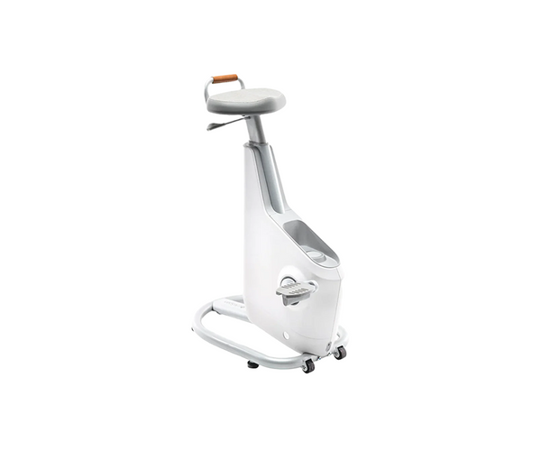 lifespan desk bike