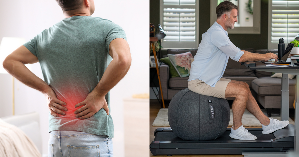 Lower Back Exsersizer Best Exercises and Equipment for Lower Back Pain Relief – LifeSpan Europe