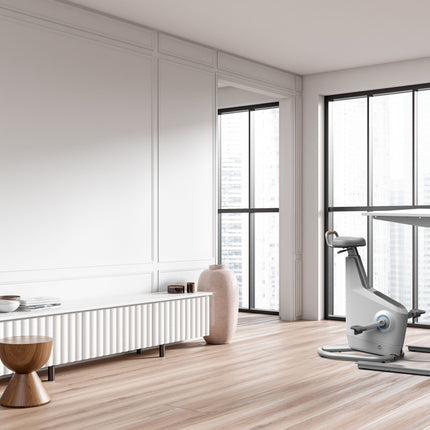 LifeSpan Ampera Power Generating Under Desk Bike Space Grey (DEMO)