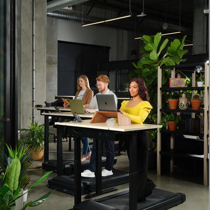 LifeSpan Standing Desk