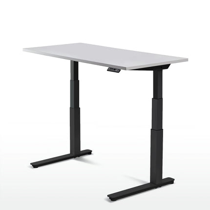 LifeSpan Standing Desk