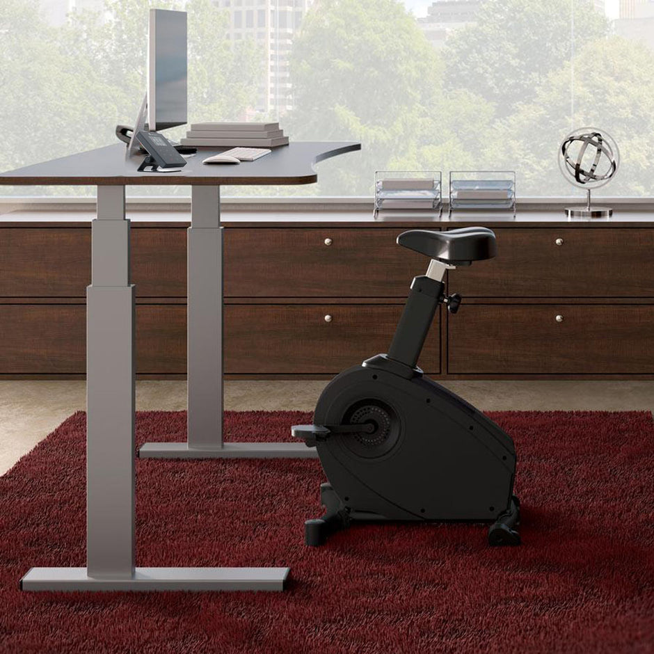 lifespan under desk bike